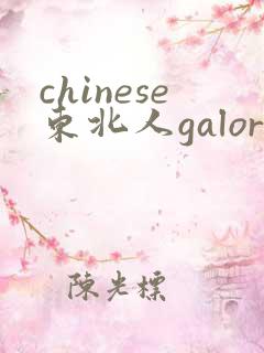 chinese东北人galore