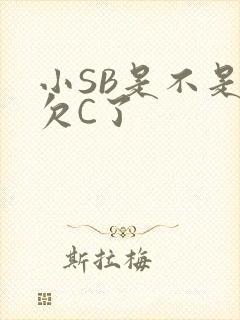 小SB是不是又欠C了