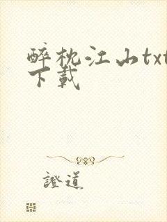 醉枕江山txt下载