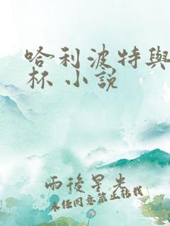 哈利波特与火焰杯 小说