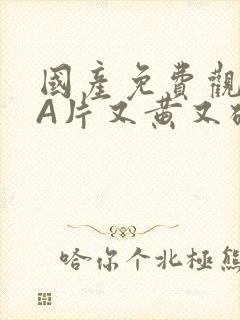 国产免费观看黄A片又黄又硬小说