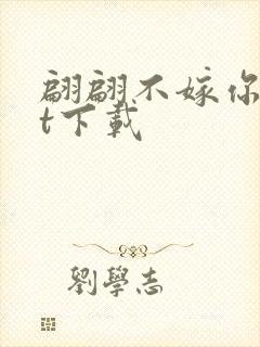 翩翩不嫁你txt下载