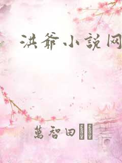 洪爷小说网