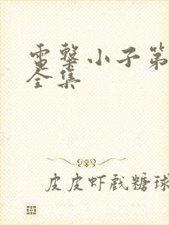 电击小子第二部全集