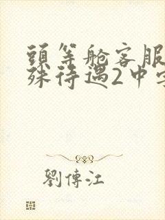 头等舱客服的特殊待遇2中字