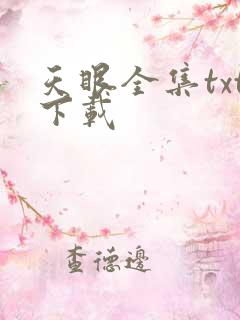 天眼全集txt下载