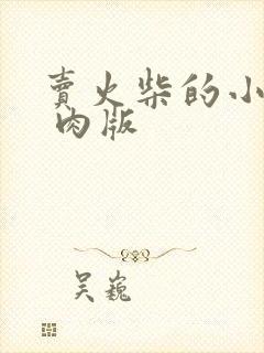 卖火柴的小男孩 肉版