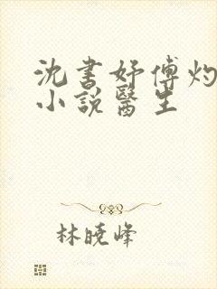 沈书妤傅灼抖音小说医生