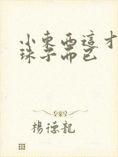 小东西这才一颗珠子而已