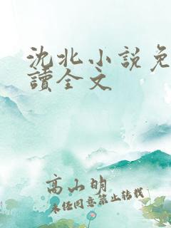 沈北小说免费阅读全文