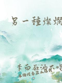 另一种灿烂生活