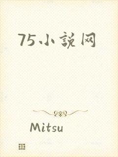 75小说网