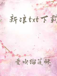 新浪txt下载