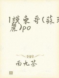 l模东哥(苏玛丽)po