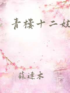 青楼十二妓