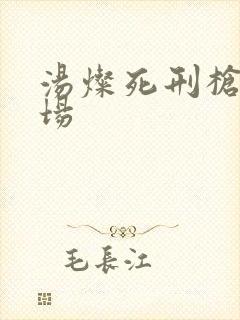 汤灿死刑枪决现场