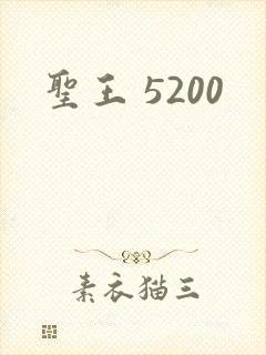 圣王 5200