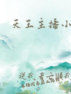 天王主播小说