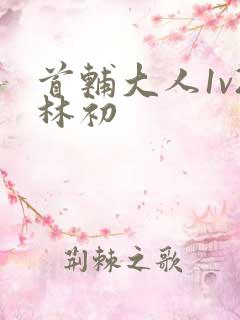 首辅大人1v2林初