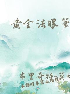 黄金法眼笔趣阁