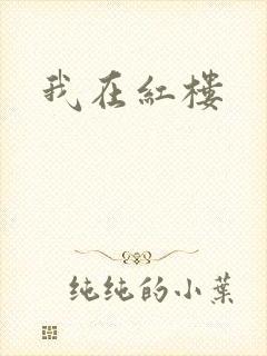 我在红楼