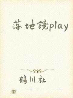 落地镜play