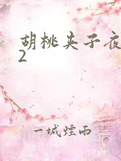 胡桃夹子夜未眠2