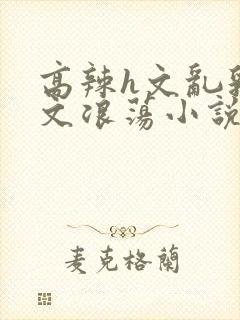 高辣h文乱乳h文浪荡小说苏柔