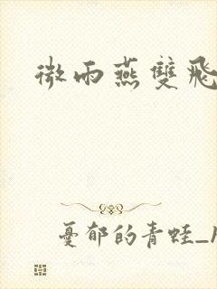 微雨燕双飞小说