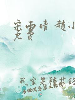 宋雨晴 赵小刚免费