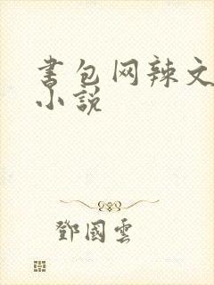 书包网辣文全本小说