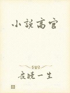 小说高官