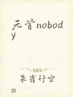 元首nobody