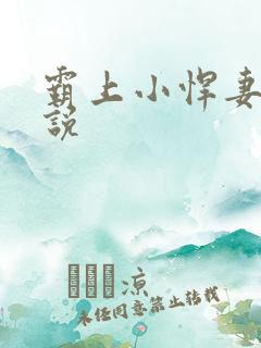 霸上小悍妻 小说