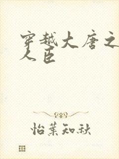 穿越大唐之位极人臣