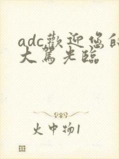 adc欢迎您的大驾光临