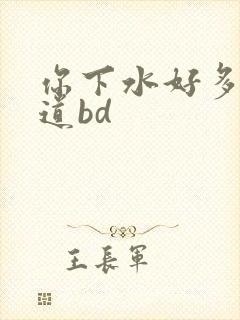 你下水好多下水道bd