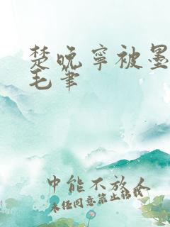 楚晚宁被墨燃塞毛笔