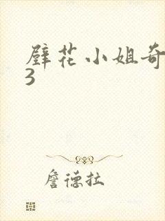 壁花小姐奇遇记3