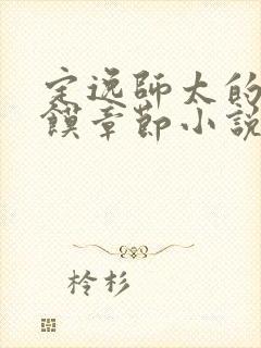 定逸师太的肉夹馍章节小说