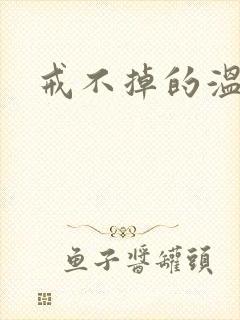 戒不掉的温柔