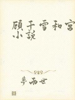 顾千雪和宫凌沨小说