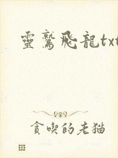 灵鹫飞龙txt