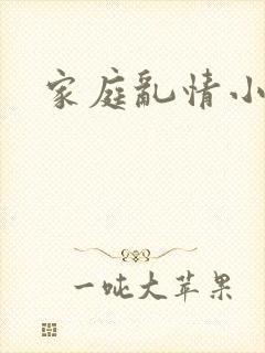 家庭乱情小说