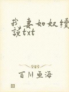 我妻如奴续写小说txt