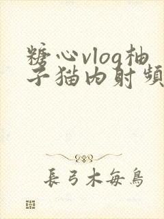 糖心vlog柚子猫内射频