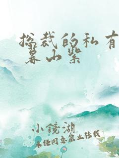 总裁的私有宝贝 暮山紫