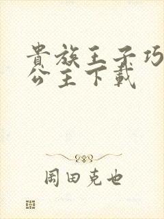 贵族王子巧遇穷公主下载