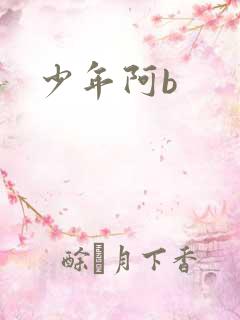 少年阿b