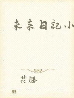 未来日记小说